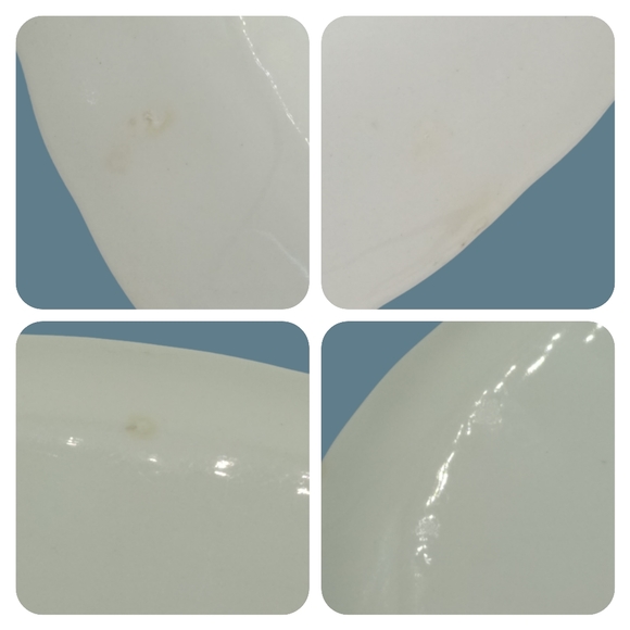 WS George Bolero Pheasant Floral Serving Platter Vintage Signed Numbered Rare - Picture 8 of 11